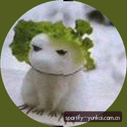 刘洋